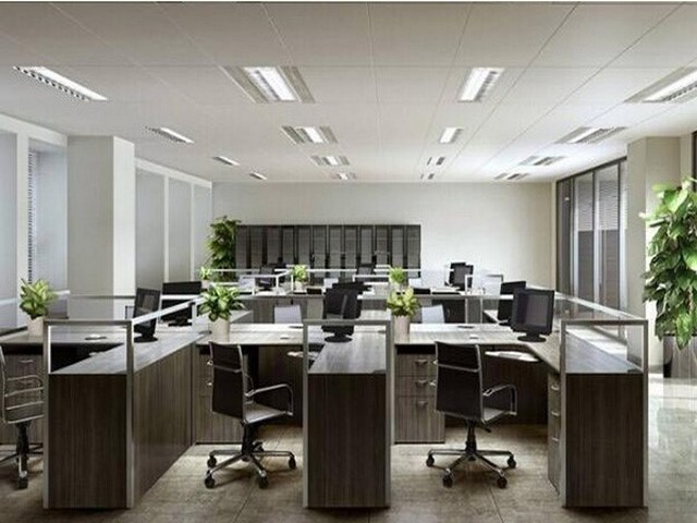 南海区园内叉车租赁优惠