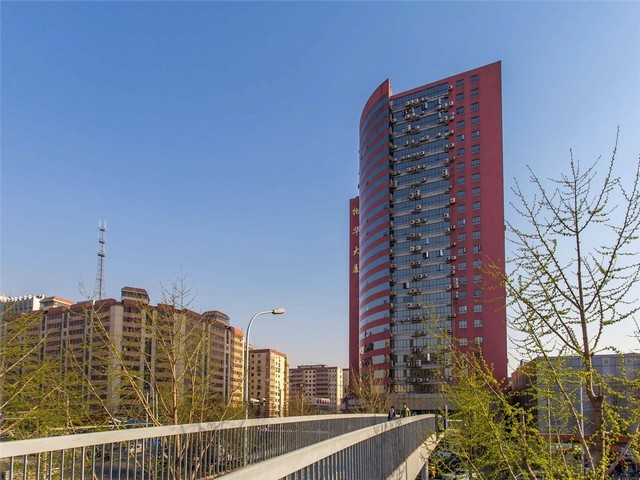 专业植物租赁电话